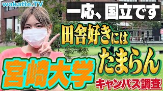 【共テ6割合格】自然豊か！田舎暮らしにはピッタリ？宮崎大学キャンパス調査！【wakatte TV】#947