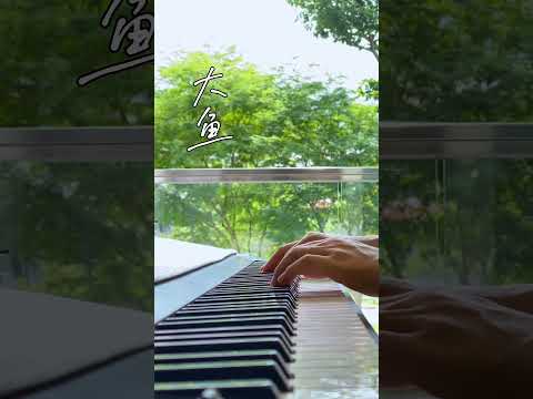 鋼琴曲Piano Music 周深《大鱼》[ 大鱼不仅是自由的象征 也是梦想与远方的呼唤 ] #周深大鱼#shorts #pianomusic ▏夜色鋼琴曲Night Piano