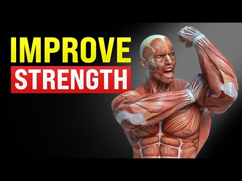 How to Improve Muscular Strength | Best Exercises to Improve Strength