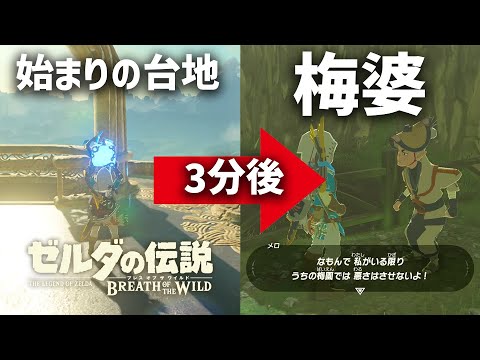 始まりの台地から3分で梅婆(カカリコ村)のとこまで駆けつけてみたw