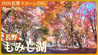 ”紅葉スポット3年連続日本一”も 1万本が見頃の「もみじ湖」【JNN 紅葉ドローンDIG 2024】｜TBS NEWS DIG