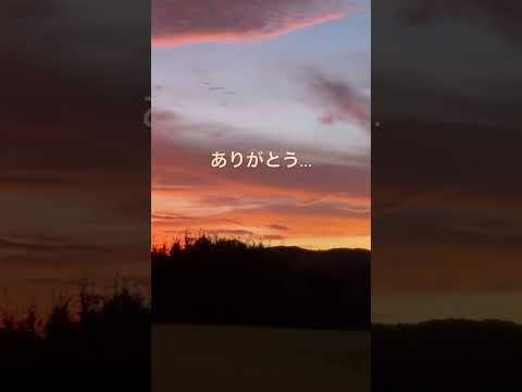 神様の愛は赤かったんだね❣️        #relaxing #睡眠用bgm疲労回復 #relaxingmusic #夕焼け