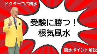 【根気は成功の基】受験に勝つ！ゴールドの器で根気風水