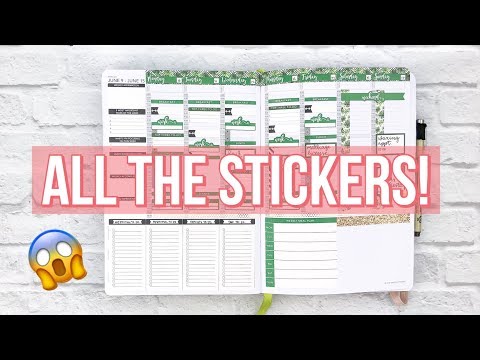 Going Sticker Crazy Passion Planner Spread | Plan With Me!