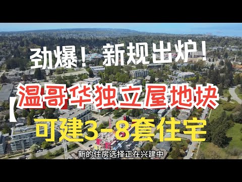 劲爆！新规出炉：温哥华一块独立屋地块可建3-8套住宅单位！后院有树也不用担心了！温哥华成为小家庭置业首选