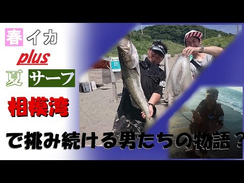 (葉山ボート&サーフFishing)三浦ボート～西湘ジグサビキ＝デビル(巨大)イカ＆ショゴ釣れたぁ！