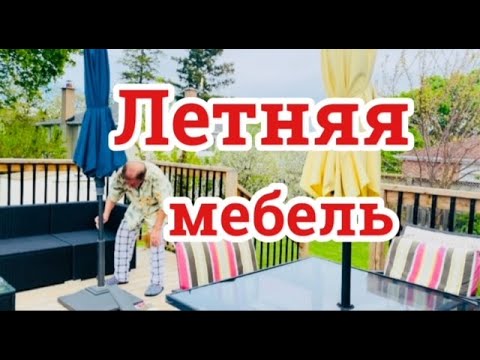 Вынесли мебель из подвала. Почему кричат птицы?