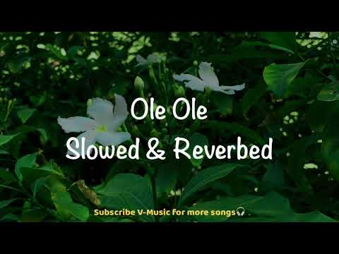 Ole Ole (Slowed & Reverbed) | Yeh Dillagi | Saif Ali Khan, Kajol | Abhijeet Bhattacharya | V-Music