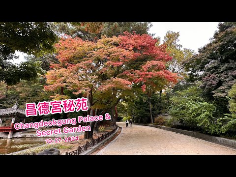 昌德宮+秘苑 / Changdeokgung Palace & Secret Garden on 10-27-2024 (Day 4 - A )