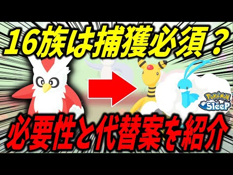 16族の食材タイプは捕獲必須？代替案と食材確率持ちきのみタイプの可能性を考察【ポケモンスリープ】