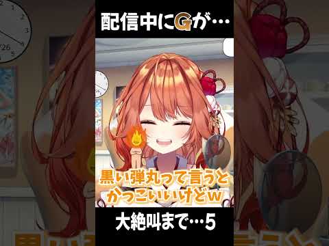 【発狂】配信中にGが出てきて大絶叫をぶちかますVtuberが面白すぎるｗｗ【VTuber/火乃鳥めら】