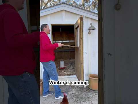 Winterize your chickens! #chicken #winter #cold #backyard #chickencoop #draftfree