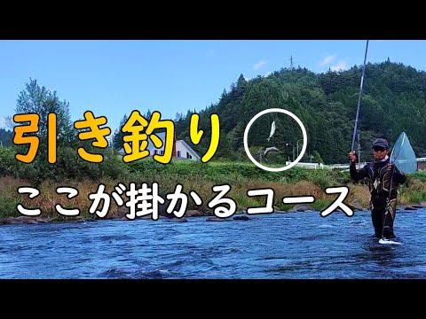 鮎釣り　1日の釣果の半分は〇〇〇〇で釣れる。