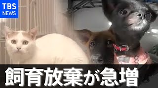 【現場から、新型コロナ危機】ペットの飼育放棄が急増