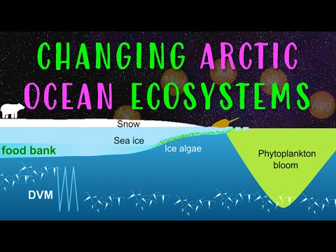 Changing Arctic Ocean Ecosystems