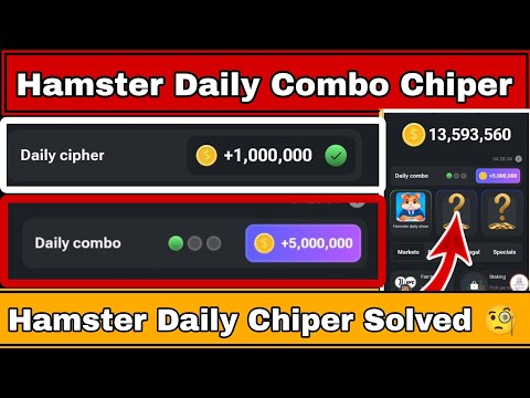 Hamster Kombat Airdrop Update | Hamster Daily Chiper & Combo Card | Solved Hamster Chipper |