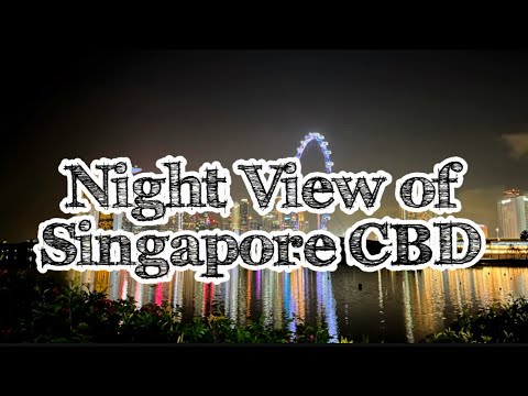 Night View Of Singapore CBD, 新加坡市中心夜景！