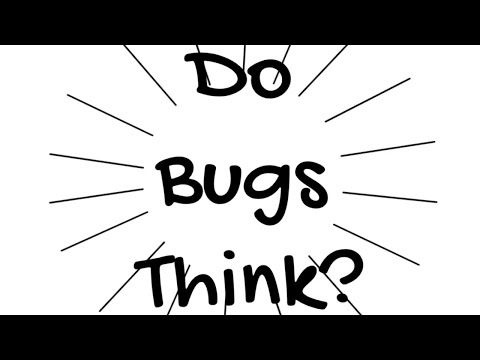 Do bugs think?? #bugs #think #subscribe