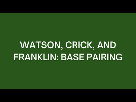 Watson, Crick, and Franklin: Base Pairing