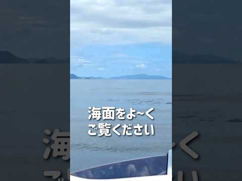 海面に異変⁈もしかすると大チャンス⁉︎