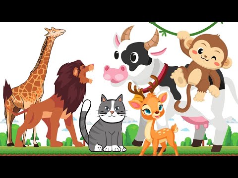 Viviparous Animals in The World  - cats lions cows monkey giraffes deer - Animal Sounds