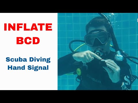 Inflate The BCD A Little Bit Sign - Scuba Diving Hand Signal