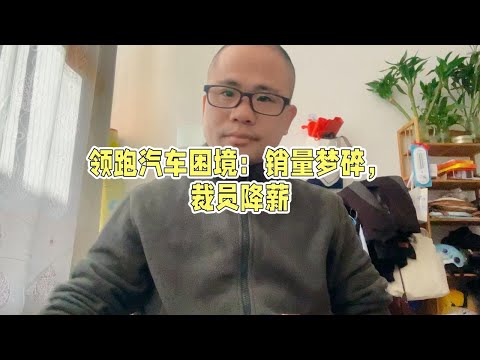 现金减少，降薪裁员，负债率高涨，零跑汽车怎么了？