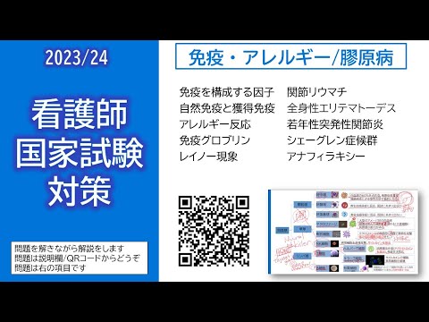 2024看護師国家試験対策・免疫・アレルギー/膠原病