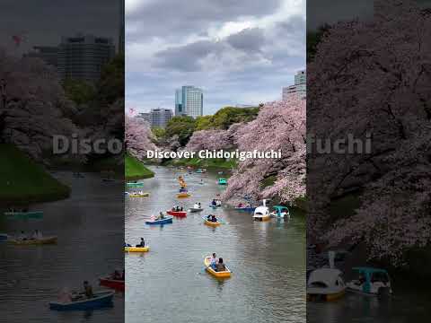 Discover Chidorigafuchi