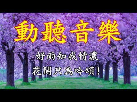 動聽八音盒音樂，好雨知我情濃，花開只為吟頌！