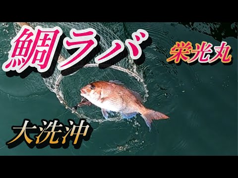 【タイラバ】鯛ラバで春の乗っ込み真鯛を狙って大洗沖で旬の魚を釣っていくー！アタリのタイラバも紹介！【栄光丸】