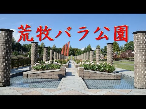 【Kansai Outing Spot】Aramaki rose park 2014.10.26