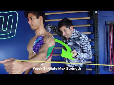 MoveU Shoulders & Arms Program: Build Strength & Prevent Injuries