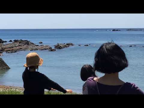 Hyla Kapili うみべクラス　2019/04/27