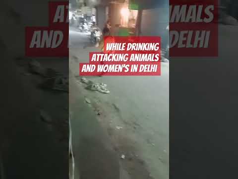 #birds #birdsmusic #funnyanimals #cat  #funnybirds #musicgenre #animalattacks #delhi #janakpuri