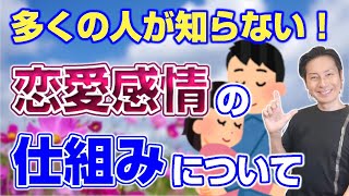 ほとんどの人が知らない！恋愛感情の仕組みについて徹底解説！