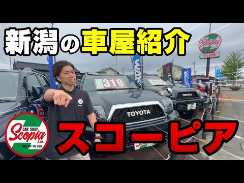 【コラボ】新潟の車屋さん紹介　新潟市東区 スコーピア