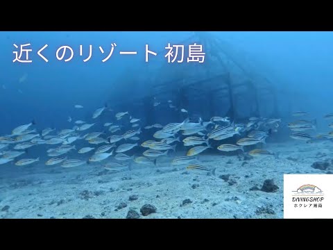 【ダイビング】近くのリゾート！初島の海🏝