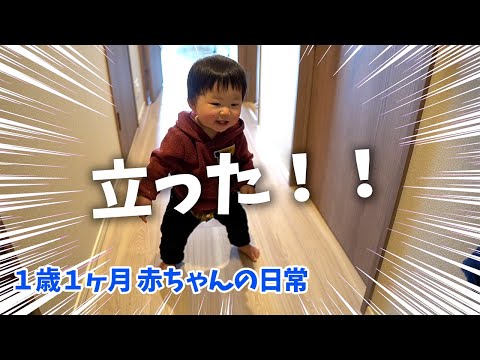 【感動】赤ちゃんが初めて立った瞬間！【１歳１ヶ月の日常/遊び/趣味】