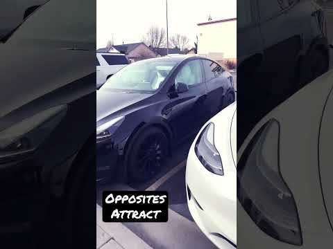 Reversed Matching Model Y Performance Tesla’s