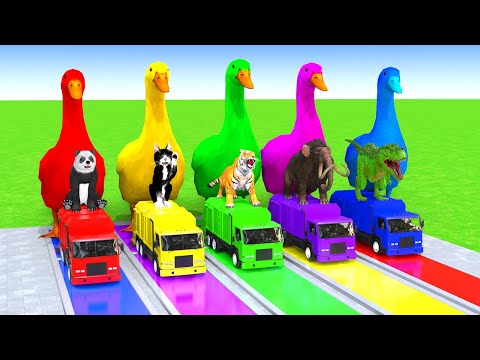 5 Giant Duck Cartoon,Cow,Elephant,Tiger,Lion,Dinosaur,Paint Wild Animals Crossing Fountain Animation