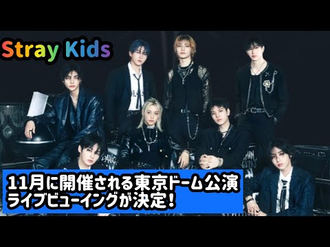 Stray Kids、11月に開催される東京ドーム公演のライブビューイングが決定！