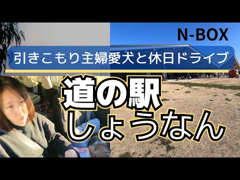 【N-BOX】道の駅で愛犬と車中ランチをする引きこもり主婦の休日Vlog！直売所の「てんと」で買って愛犬と車中カフェ#愛犬との暮らし #50代 #食べ歩き #ドライブ #nbox #千葉県 #柏市