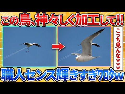 【2ch面白スレ】この鳥の画像をもっと神々しくしてくれ→神秘と笑いが融合しまくってワロタ【画像加工】