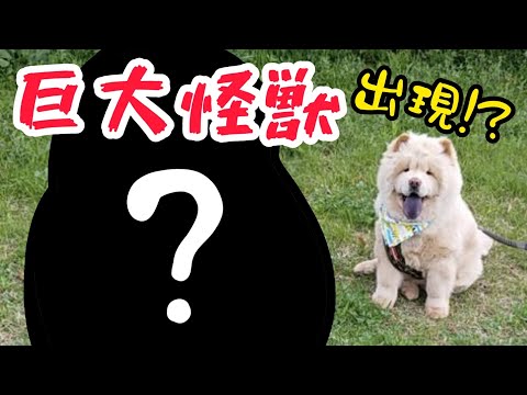 やっとできたお友達は大きな怪獣？