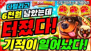 [슬롯][슬롯생방송]🔥더도그하우스:THE DOG HOUSE🔥★6천원 남기고 터졋다 잭팟!★[프라그마틱][온라인슬롯][슬롯머신][슬롯라이브][강원랜드]