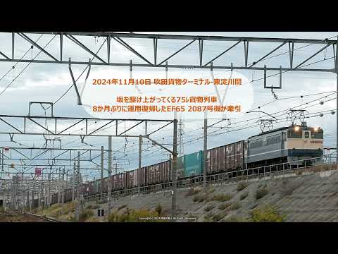 ② 祝！8か月ぶりに運用復帰したEF65 2087号機 関西‐高松巡業に入る。（R6.11.10）