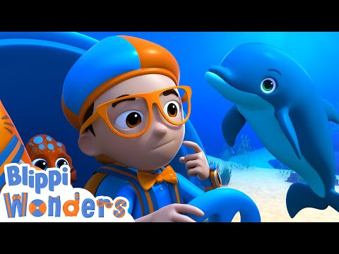 Dolphin Adventure! | Blippi Wonders | Kids Cartoons | Party Playtime!