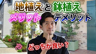 【木を大きくしないで育てる方法】植える前に知っておきたい鉢植えと地植えのメリットデメリット