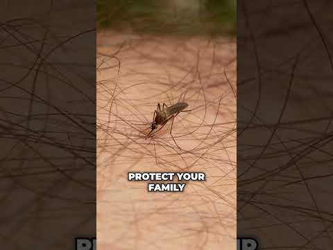 Mosquito Control At Home